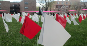 Flags that represent occurrence of sexual assault