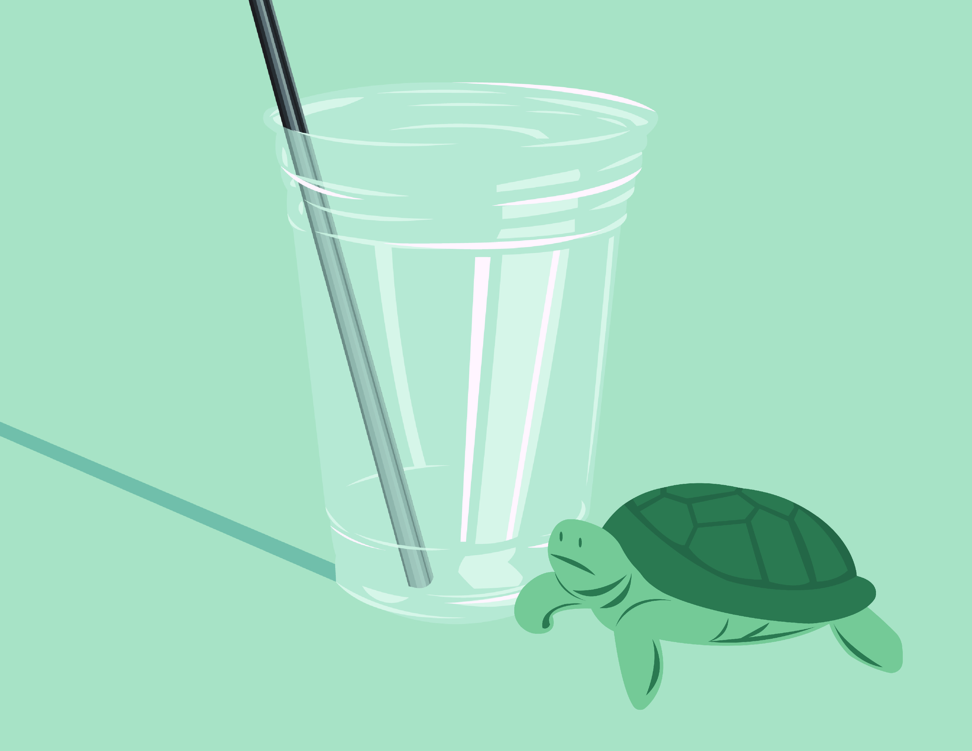 Straw Turtle